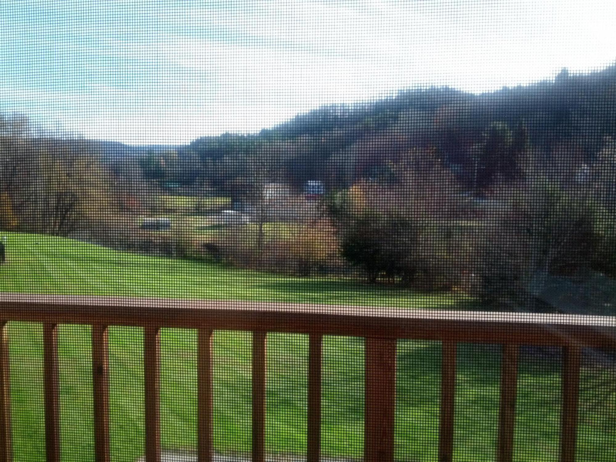 Fairbanks Inn Saint Johnsbury Rum bild